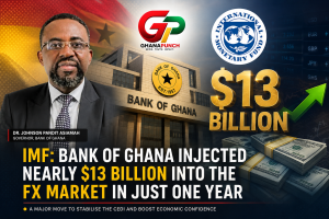 Bank of Ghana Injected Nearly $13 Billion into FX Market Within One Year